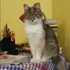 Отзыв от Ираида Сергеева